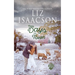 Ten Days in Town: Christian Christmas Romance