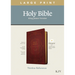 KJV Large Print Thinline Reference Bible, Filament Enabled Edition (Red Letter, Leatherlike, Burgundy)