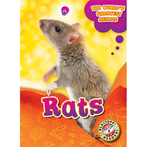 Rats