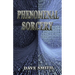 Phenomenal Sorcery: A System of Informational Magic for Real and Virtual Worlds