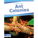 Ant Colonies