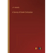 A Survey of Greek Civilization