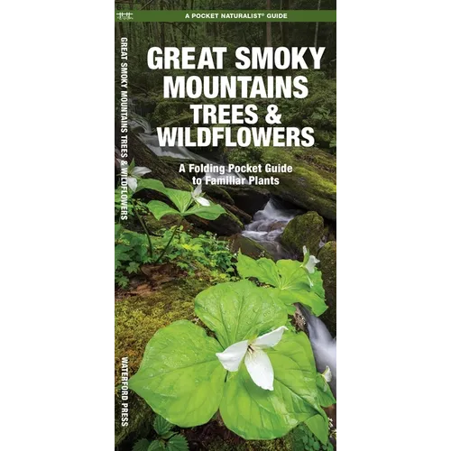 Great Smoky Mountains Trees & Wildflowers: A Folding Pocket Guide to Familiar Plants