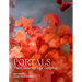 Portals: The Colours of Our Longing