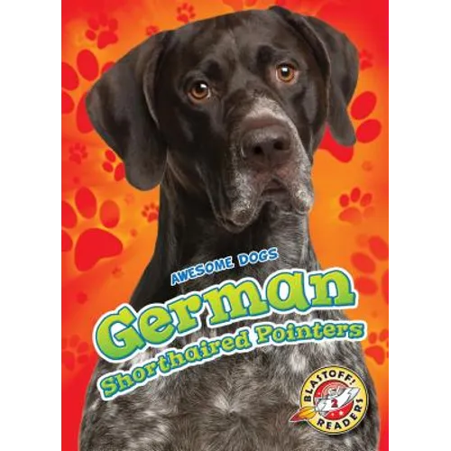 German Shorthaired Pointers