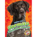 German Shorthaired Pointers