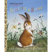 Home for a Bunny: A Classic Bunny Book for Kids