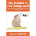 My Rabbit is not doing well: Three decades of a silent reflection on the French society