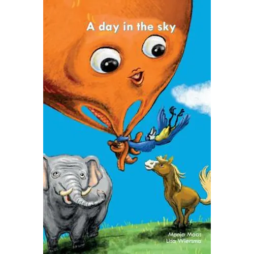 A day in the sky