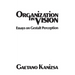 Organization in Vision: Essays on Gestalt Perception