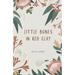 little bones in red clay