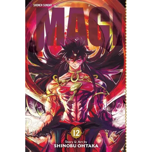 Magi: The Labyrinth of Magic, Vol. 12