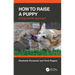 How to Raise a Puppy: A Dog-Centric Approach