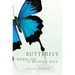 Butterfly Born on a Windy Day