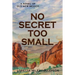 No Secret Too Small: A Novel of Old New Mexico