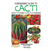 A Beginner's Guide to Cacti - How to Make a Cactus Garden