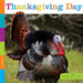 Thanksgiving Day