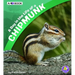 A Day in the Life of a Chipmunk: A 4D Book