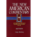 Matthew: An Exegetical and Theological Exposition of Holy Scripture Volume 22