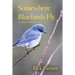 Somewhere Bluebirds Fly: An Adoptee's Search for Home
