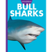Curious about Bull Sharks