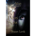 Allon Book 9 - In Plain Sight