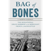 Bag of Bones: The Sensational Grave Robbery Of The Merchant Prince Of Manhattan