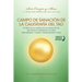 Campo de Sanación de la Caligrafía del Tao: e Trata de un Sistema de Información de Seis Técnicas Sagradas Tao para Empoderarte y Sanar y Transformar