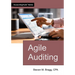Agile Auditing