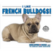 I Like French Bulldogs!