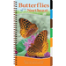 Butterflies of the Northeast: Identify Butterflies with Ease