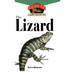 The Lizard: An Owner's Guide to a Happy Healthy Pet