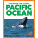 Pacific Ocean