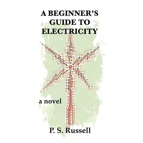 A Beginner's Guide to Electricity