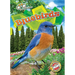 Bluebirds