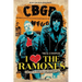 I Heartbreak the Ramones: The Life And Times of the SpeedKings