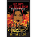 Hip Hop's Li'l Sistas Speak: Negotiating Hip Hop Identities and Politics in the New South