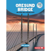 Oresund Bridge and Other Great Building Feats