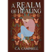 A Realm Of Healing