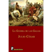 La guerra de las Galias