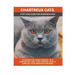 Chartreux Cats: Chartreux Cat Breed General Info, Purchasing, Care, Cost, Keeping, Health, Supplies, Food, Breeding and More Included!