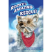 Rocky's Amazing Rescue