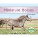 Miniature Horses