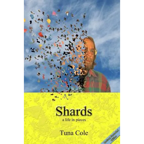Shards a life in pieces