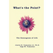 What's the Point?: The Enneagram of Life