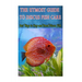 The Utmost Guide to Discus Fish Care: Best Ways to Keep and Breed Discus Fish