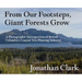 From Our Footsteps, Giant Forests Grow: A Photographic Introspection of British Columbia's Coastal Tree Planting Industry