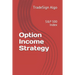 Option Income Strategy: S&P 500 Index