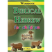 Biblical Hebrew for Children Workbook