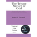 The Triune Nature of God: Conversations Regarding the Trinity by a Disciples of Christ Pastor/Theologian